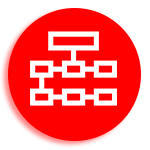Organização